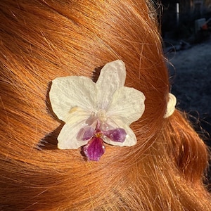 May include: A white and purple orchid hair accessory set in red hair. The orchid has a delicate, translucent appearance with a vibrant purple centre. The hair is a rich, reddish-orange colour, catching the sunlight.