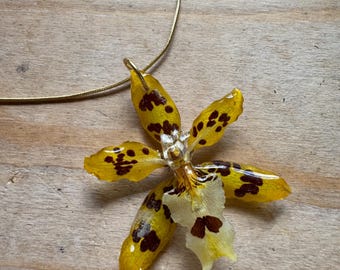 Pode incluir: Um colar com um pingente feito de uma flor de orquídea amarela preservada com manchas castanho-escuras, encapsulada numa camada de resina transparente. O pingente está preso a uma fina corrente de metal dourado que se curva para cima.