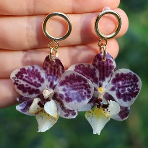 Orchid Earrings Real Orchid Preserved in Resin, Botanical Jewelry, Handmade Floral Gifts for Her, Unique Nature Accessories