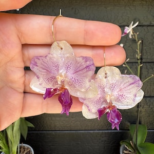 Orchid Earrings Handmade Real Preserved Orchid in Resin Floral Jewelry Gift for Her Lightweight Nature-Inspired Accessories