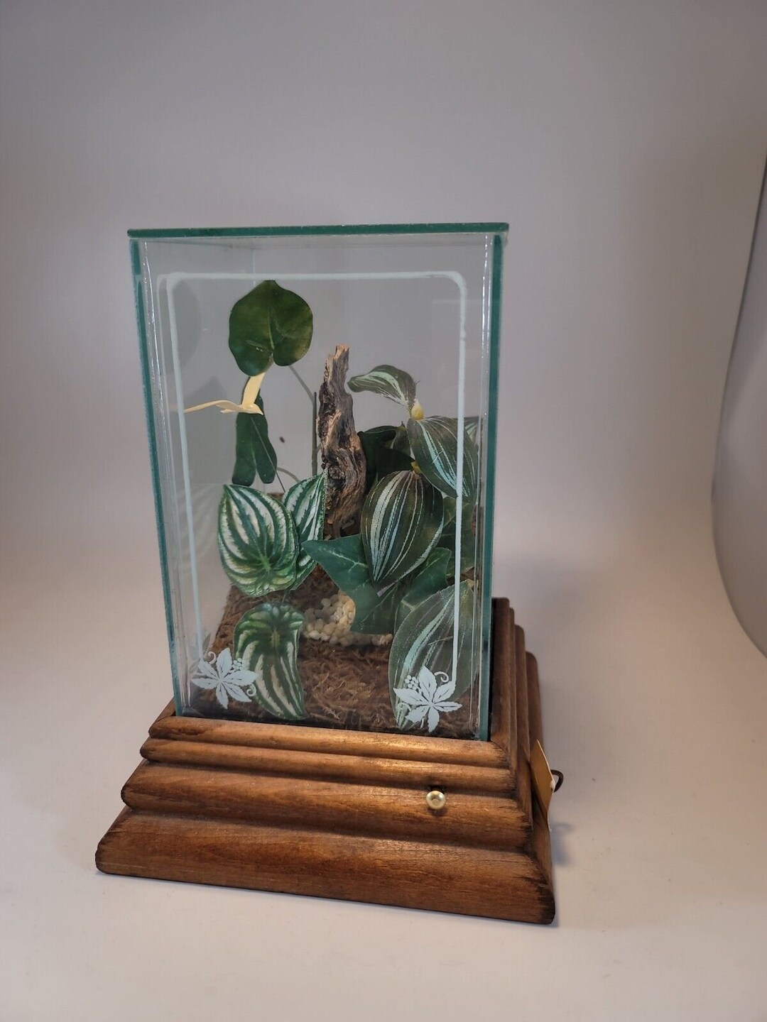 Vintage California Terrarium With Toyo Japan Music Box and Etsy