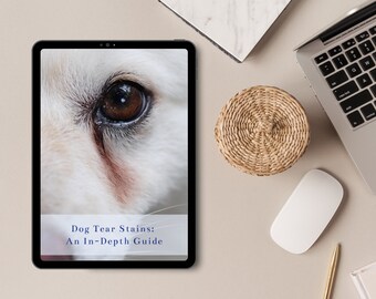 May include: A tablet showing the text "Dog Tear Stains: An In-Depth Guide" over a close-up of a dog's eye with tear stains. The tablet is on a beige surface, with a laptop, mouse, pen, and woven basket nearby.