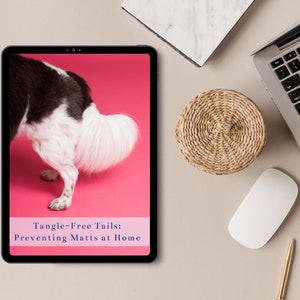 Op de afbeelding: Een digitale tablet toont een hond met een pluizige witte staart tegen een roze achtergrond. Het scherm toont de tekst "Tangle-Free Tails: Preventing Matts at Home." Een laptop, muis, pen en een rieten mand zijn ook zichtbaar.