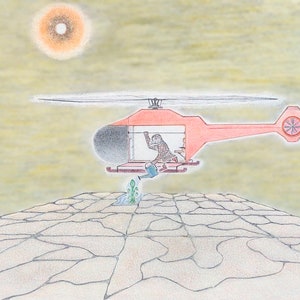 Spatz auf einem Rettungshubschrauber