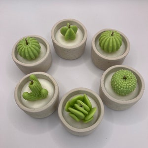 May include: Six small concrete candle holders with green succulent candles. The candles are shaped like different types of succulents.