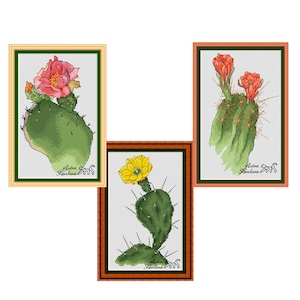 padrão de ponto cruz para tela de flores de cactos e suculentas