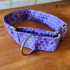Martingale Hundehalsband