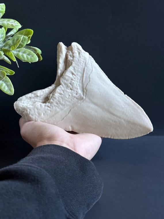 Megalodon Tooth Replica – Large Prehistoric Shark Fossil – Dinosaur Lover Gift – Paleontology Decor – 3D Printed Fossil