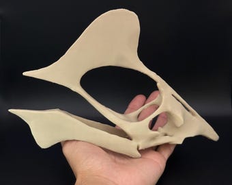 Replica Tapejara-schedel – vliegend dinosaurusfossiel – pterosaurusmodel – uniek prehistorisch decor – paleontologiecadeau