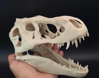 Tyrannosaurus Rex Skull Replica – Dinosaur Skull Model – Prehistoric Home Decor – Paleontology Gift – Science Classroom Display
