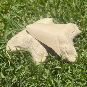 3D Printed Giant Prehistoric Megalodon Tooth Replica