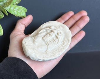 Trilobite and Fern Fossil Replica – Prehistoric Fossil Set – Natural History Decor – Science Classroom Gift – Paleontology Display