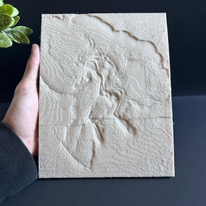 Archaeopteryx Fossil Replica – Prehistoric Bird Imprint – Natural History Wall Decor – Paleontology Gift – Dinosaur Enthusiast Display