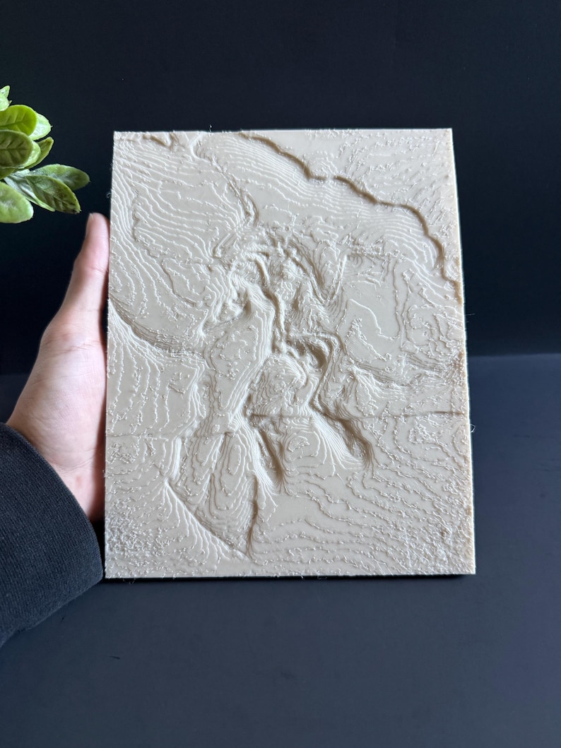 Archaeopteryx Fossil Replica – Prehistoric Bird Imprint – Natural History Wall Decor – Paleontology Gift – Dinosaur Enthusiast Display