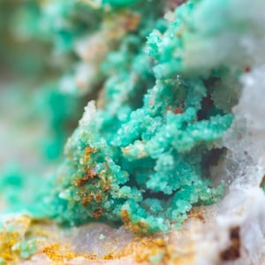 Op de afbeelding: Close-up van een mineraalmonster met levendige turquoise-groene kristallijne formaties. De minerale clusters zijn geplaatst tegen een achtergrond van wit en bruin rots, met natuurlijke texturen en kleuren.