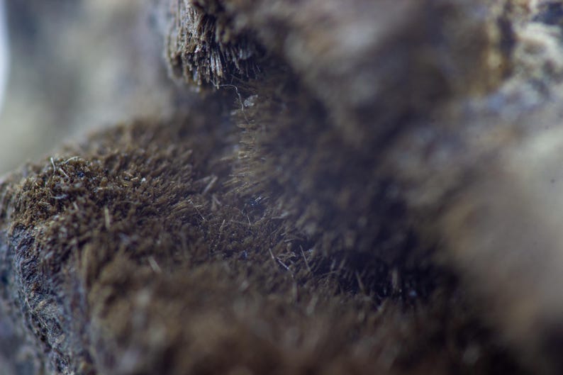 May include: Close-up of a textured, brown, organic material. The surface has a rough, fibrous appearance with visible strands and a slightly blurred background. The overall tone is earthy and natural.
