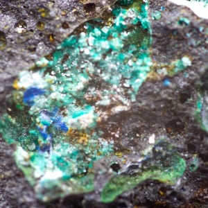 May include: Close-up of a mineral specimen with a dark, textured matrix. Patches of vibrant turquoise, green, and blue hues are scattered across the surface, creating a striking contrast. The mineral's surface has a rough, uneven texture.