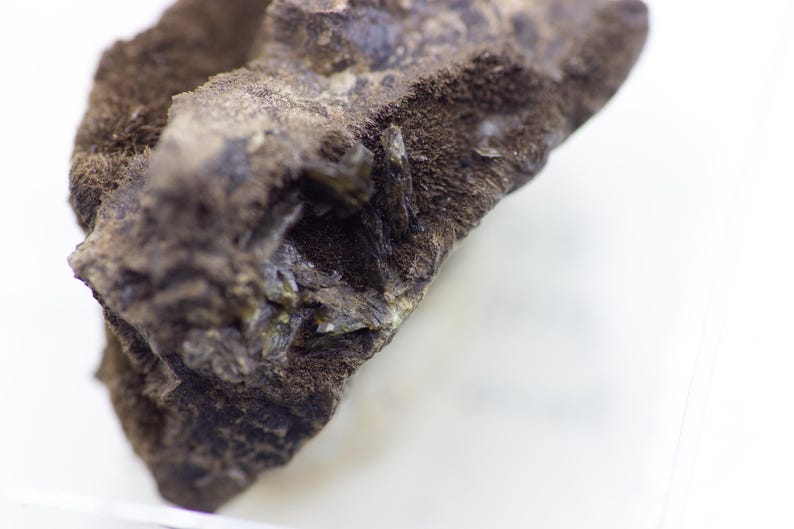 May include: Close-up of a rough, dark brown rock formation with a textured surface. The rock has a layered appearance with small, crystalline structures visible in some areas. The background is a bright white.