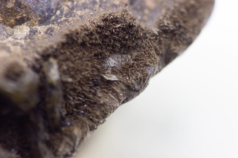 May include: Close-up of a rough, textured rock surface. The rock is primarily dark brown with areas of lighter brown and gray. Small, crystalline structures are visible within the rock's texture, adding a subtle sparkle.