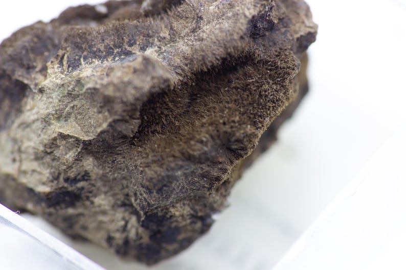 May include: Close-up of a rough, dark gray rock with a textured surface and small, hair-like formations. The rock has a rugged appearance and is set against a bright white background, highlighting its natural details.
