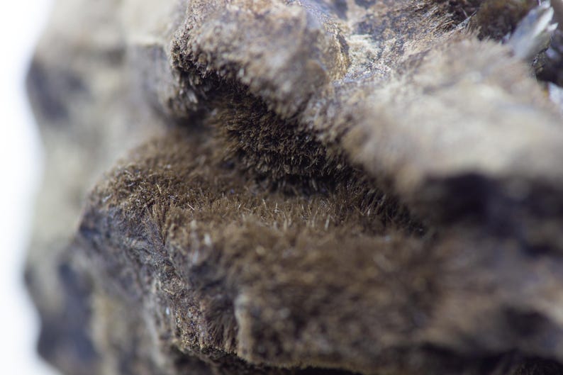 May include: Close-up of a textured, organic form with a rough, uneven surface. The object is primarily shades of brown and gray, with a fuzzy, fibrous texture in some areas. The overall appearance suggests a natural material.
