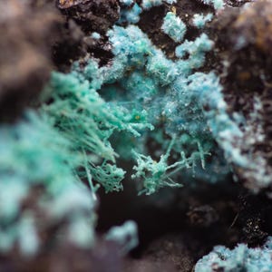 May include: Close-up of a mineral formation with a mix of textures and colors. The image features a dark, rough base with patches of vibrant, turquoise-colored crystalline structures. Delicate, thread-like formations add depth.