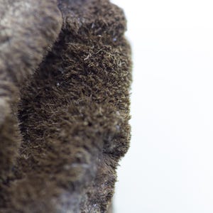 May include: Close-up of a textured, dark brown object with a fuzzy, fibrous appearance. The object has a rough, uneven surface and appears to be organic in nature. The background is plain white, providing contrast to the object's texture.