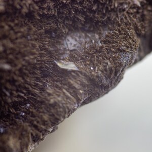 May include: Close-up of a dark brown, textured mineral formation. The surface has a rough, fibrous appearance with small, crystalline structures and a few shiny, reflective areas. The background is a soft, off-white color.