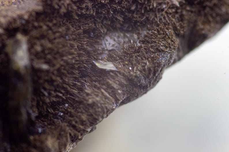 May include: Close-up of a dark brown, textured mineral formation. The surface has a rough, fibrous appearance with small, crystalline structures and a few shiny, reflective areas. The background is a soft, off-white color.