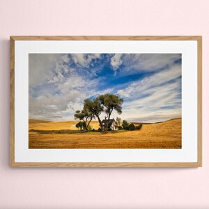 May include: A framed landscape photograph featuring a small house nestled among several large trees in the center of a vast, golden wheat field under a bright blue sky with wispy white clouds. The frame is made of light-colored wood.