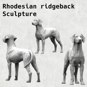 Rhodesian Ridgeback – A Respectful Distance – Designs
