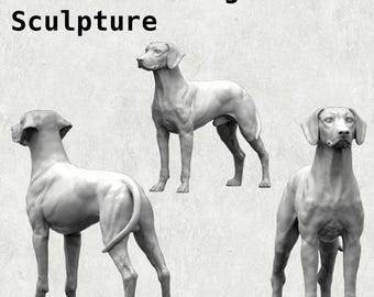 May include: A white ceramic sculpture of a Rhodesian Ridgeback dog in three different poses. The dog is standing, sitting, and lying down. The sculpture is a realistic depiction of the breed.