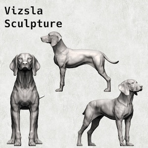 Hungarian Vizsla (Hungarian Pointing Dog) 3D Printing Model - Dog Sculpture for Home and Garden Decor - Perfect Gift for Dog Lovers and Pet