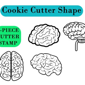 Conjunto de cortador de biscoitos: formas de anatomia cerebral para biscoitos de açúcar, fondant e contorno de argila