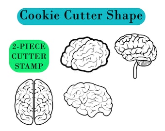 Cookie Cutter Set: Brain Anatomy Shapes for Sugar Cookies, Fondant, and Clay Outlining