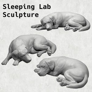 Może przedstawiać: Trzy szare, ceramiczne rzeźby labradorów w różnych pozycjach do spania. Rzeźby są realistyczne i szczegółowe, ukazując relaksujące pozycje psów.