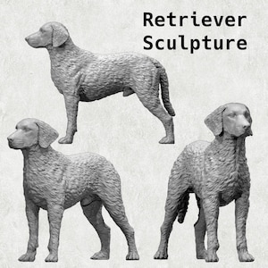 Curly Coated Retriever 3D Printing Model - Customizable Dog Figurine for Memorials, Keepsakes, or Display - Realistic Dog Statue for Decor
