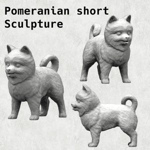 Adorable Pomeranian 3D Print Model - Playful Dog Sculpture for Home and Garden Decor - Perfect Gift for Pomeranian Lovers