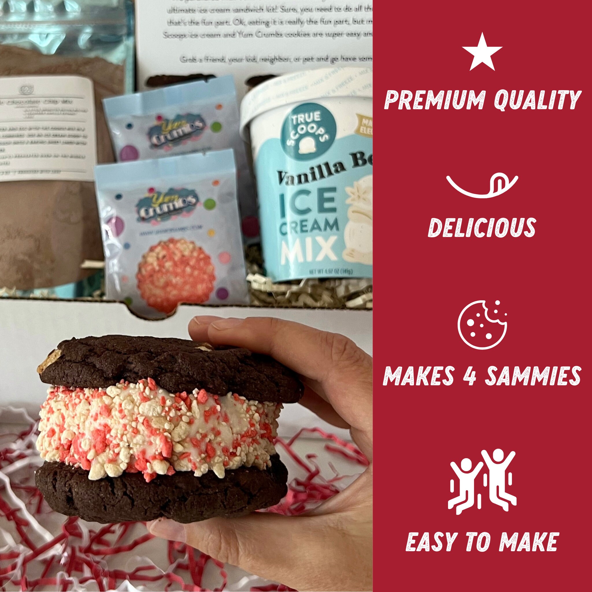 DIY Ice Cream Sandwich Making Kit Kids Gift Valentine's Gift for