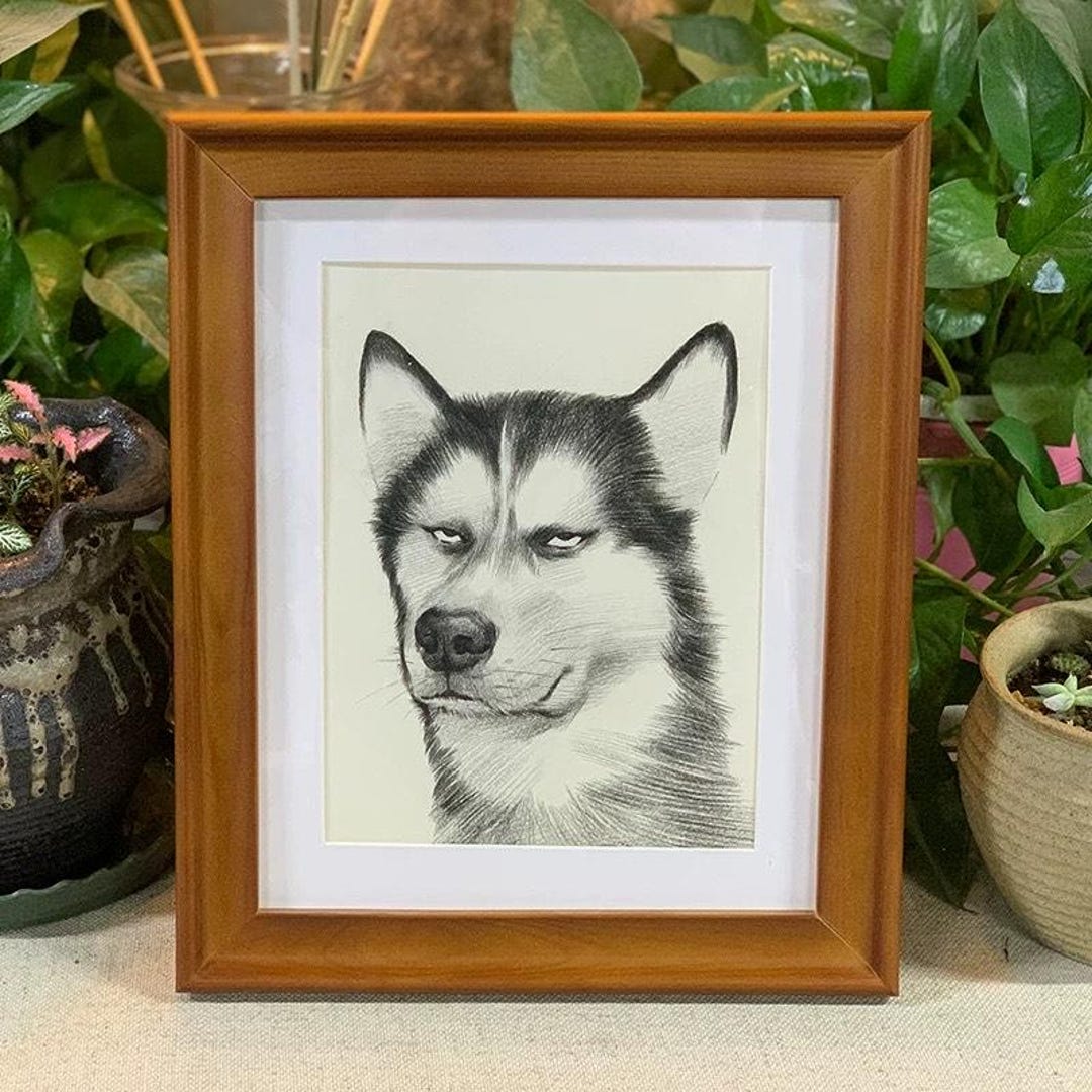 Personalized Pet Portrait From Photo: Handmade Graphite Pencil Drawing ...