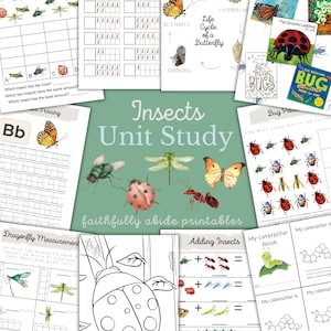 INSECTS Mini Unit Study, Insect Anatomy , Handwriting, Printable, Montessori, Homeschool, Letter Trace, Numbers, Coloring,  INSTANT download