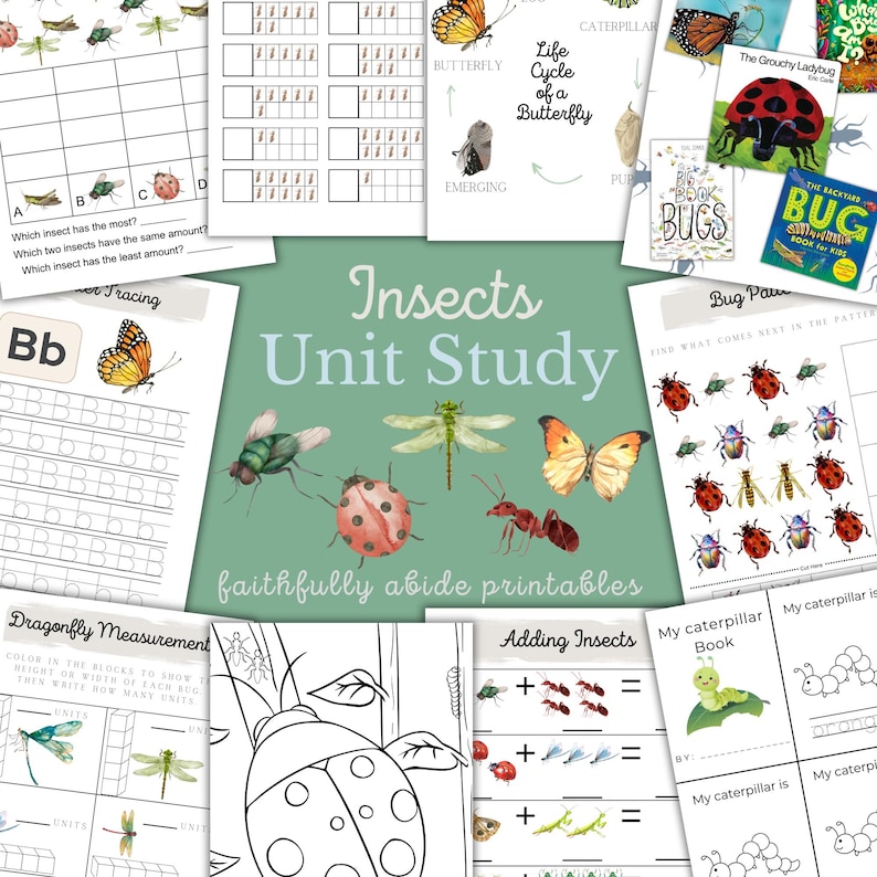 Number Insect Trace INSECTS Mini Unit Study, Insect Anatomy , Handwriting, Printable ...