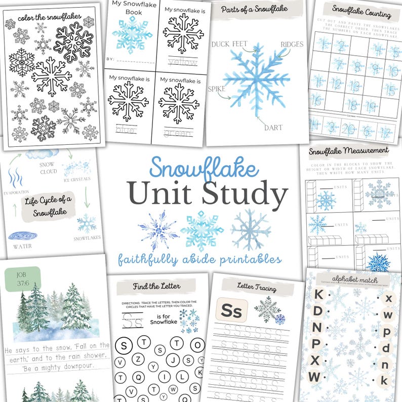 SNOWFLAKE Mini Unit Study, Christmas Printable Worksheets, Homeschool ...