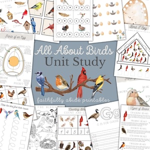 BIRDS Unit Study, Bird Activities, Bird Anatomy, Nature Study, Handwriting, Homeschool Printable, Montessori, Homeschool, INSTANT DOWNLOAD