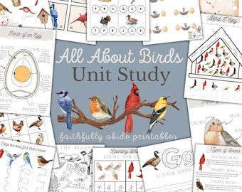 BIRDS Unit Study, Bird Activities, Bird Anatomy, Nature Study, Handwriting, Homeschool Printable, Montessori, Homeschool, INSTANT DOWNLOAD