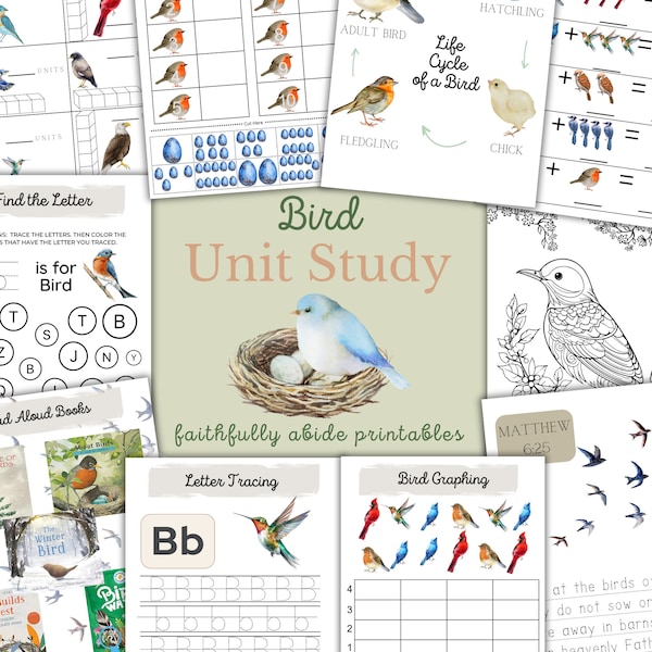 BIRD Mini Unit Study, Bird Activities, Numbers, Nature Study, Handwriting, Homeschool Printable, Montessori, Homeschool, INSTANT DOWNLOAD