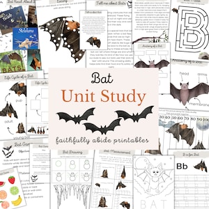 BATS Mini Einheitsstudie, Lebenszyklus, Anatomie, Naturstudie, Fledermausstudie, Wissenschaft, Handschrift, Homeschool druckbare, Montessori, sofortiger DOWNLOAD