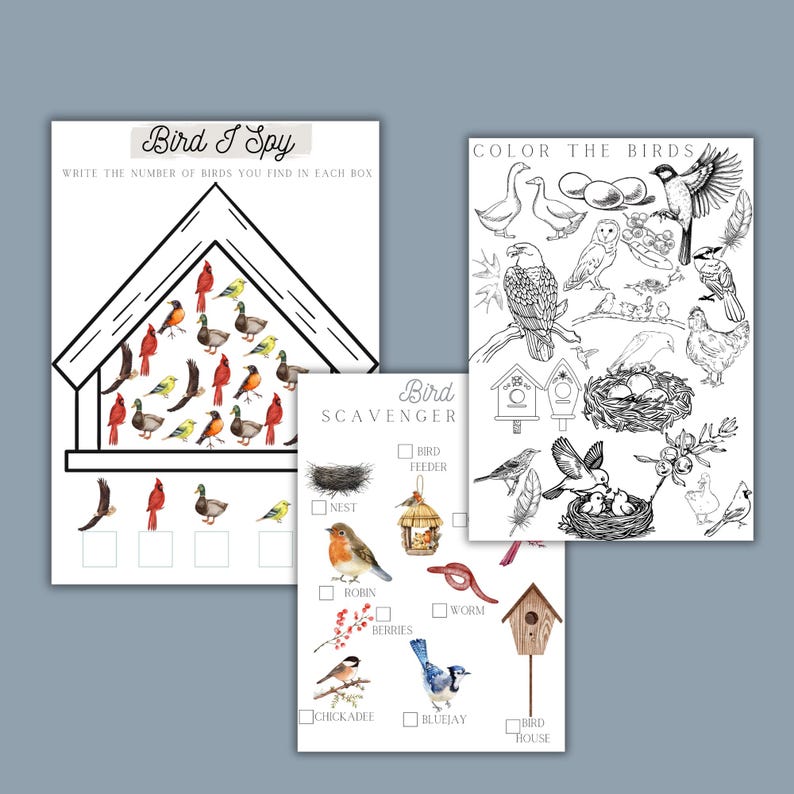 BIRDS Unit Study, Bird Activities, Bird Anatomy, Nature Study ...