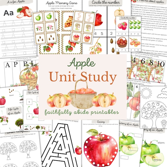 APPLE Mini Unit Study, Life Cycle, Anatomy, Nature Study, Science, Handwriting, Apple Worksheets, Homeschool, Montessori, INSTANT DOWNLOAD