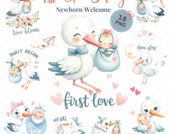 Puede incluir: Un conjunto de 18 ilustraciones digitales que representan una cigüeña entregando un bebé. Las ilustraciones están realizadas en estilo acuarela y presentan una variedad de diseños lindos y caprichosos. El texto "Little Stork Delivery" y "Newborn Welcome" está incluido en la imagen.